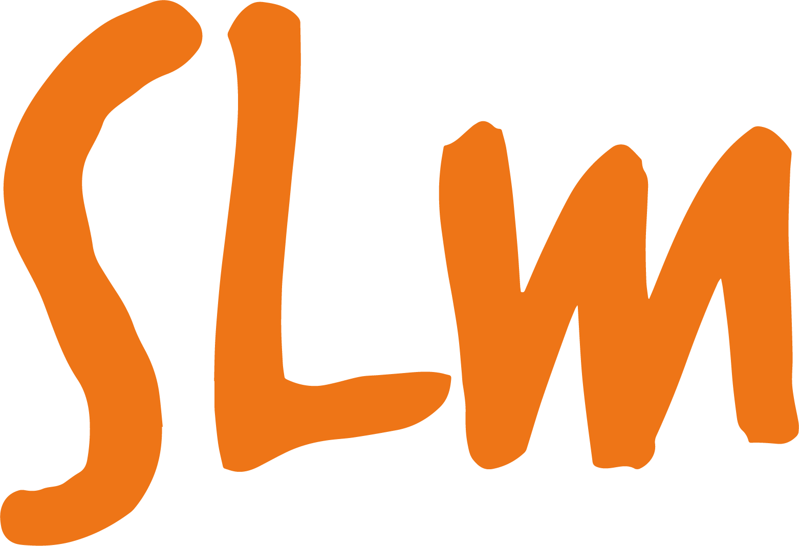 SLM Application